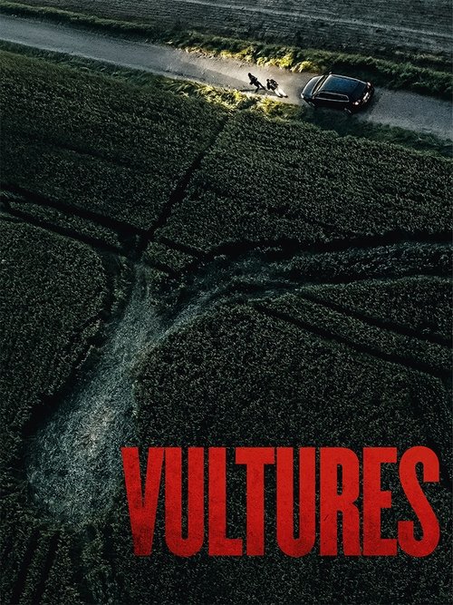 Vultures movie poster