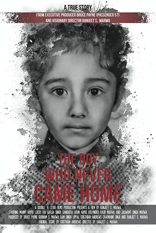 The Boy Who Never Came Home: A True Story movie poster