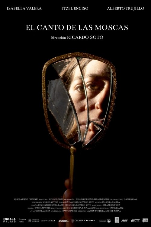 The singing of the flies movie poster