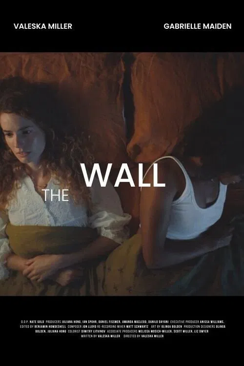 The Wall movie poster