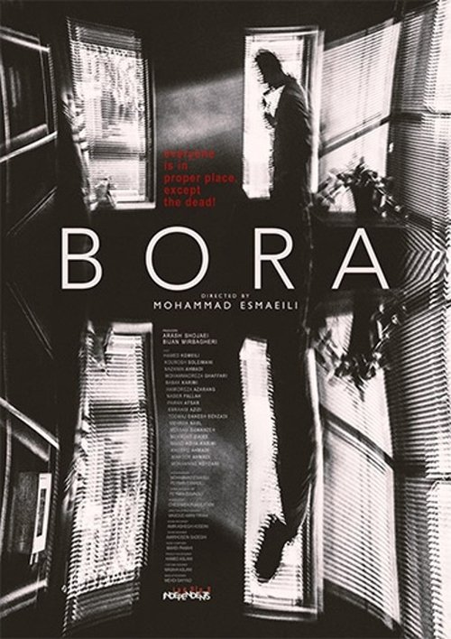 The Bora movie poster