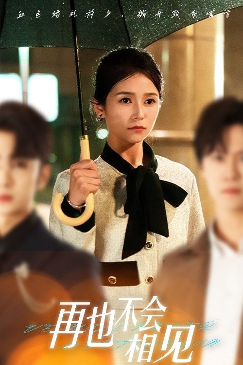 再也不会相见 tv show poster