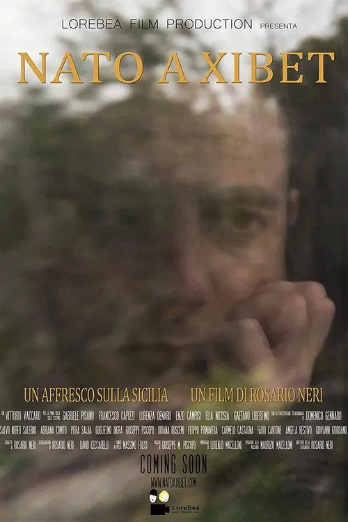 Nato a Xibet movie poster