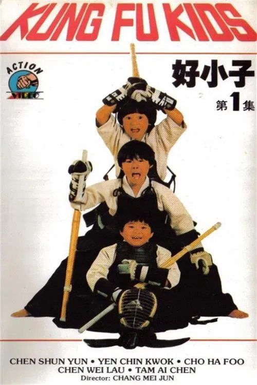 好小子 movie poster