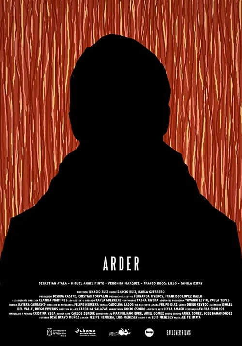 Poster do filme Burn