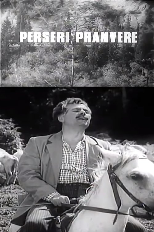 Poster do filme Spring Again