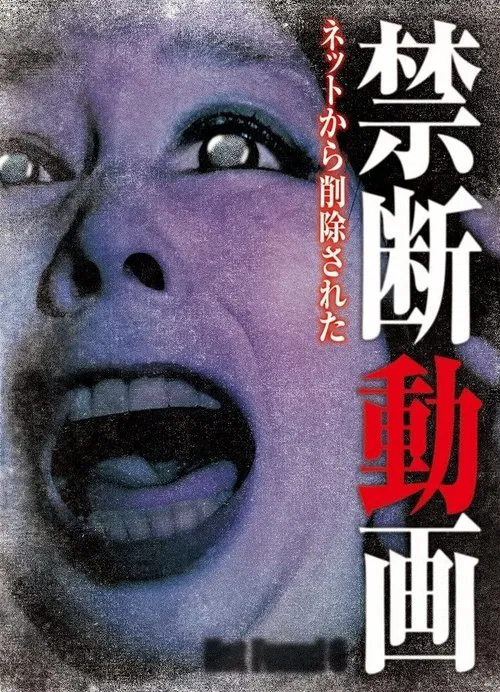 Poster do filme Not Found 6