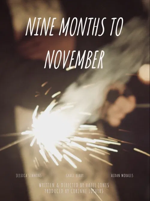 Nine Months to November movie poster