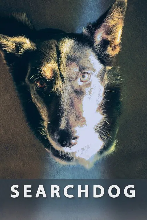 Searchdog movie poster