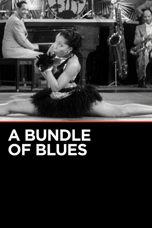 A Bundle of Blues movie poster