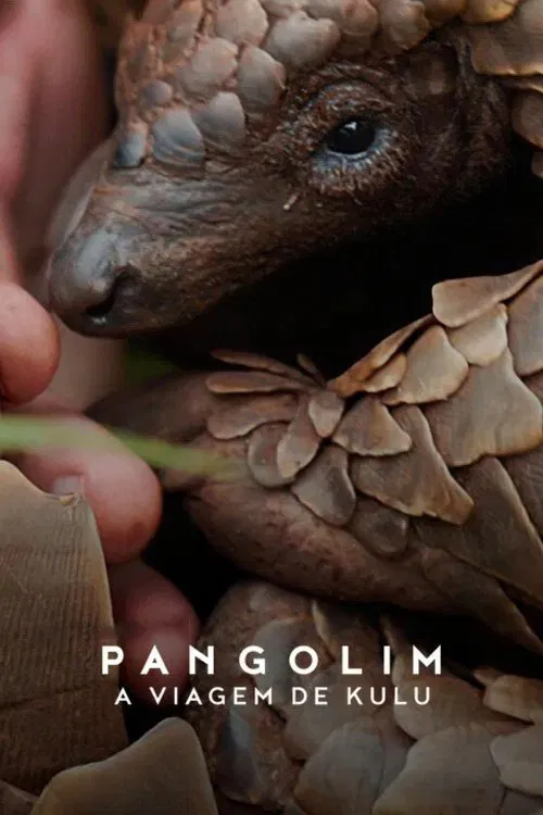 Poster do filme Pangolim: A Viagem de Kulu