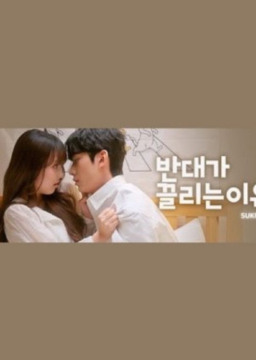 Why Opposites Attract 2 tv show poster