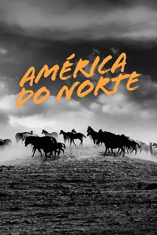 Poster da série América do Norte