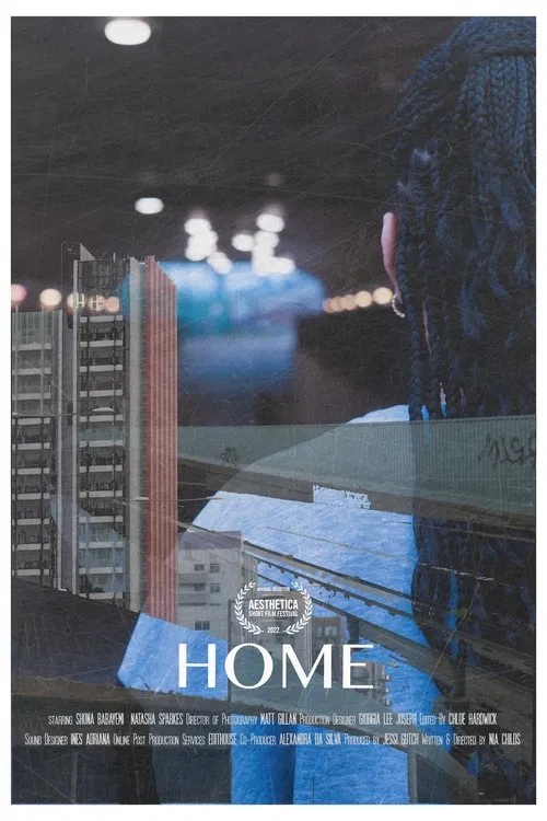 Home movie poster