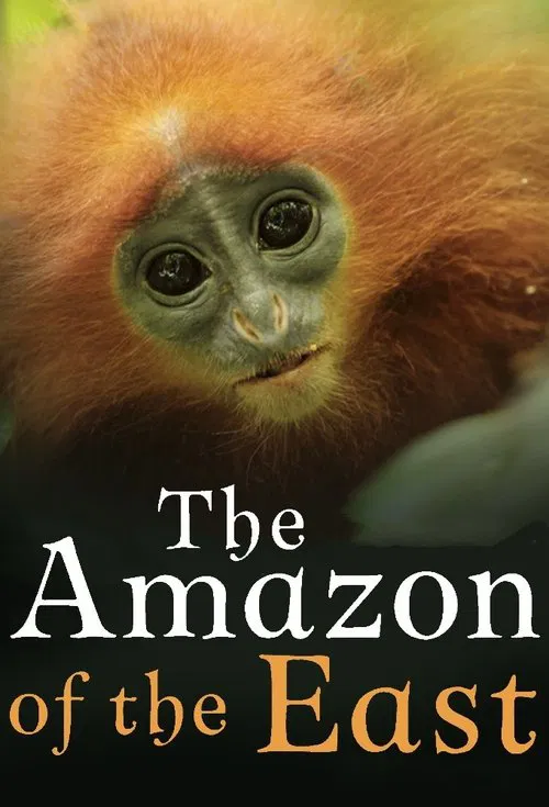 The Amazon of the East tv show poster