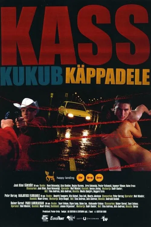 Happy Landing movie poster
