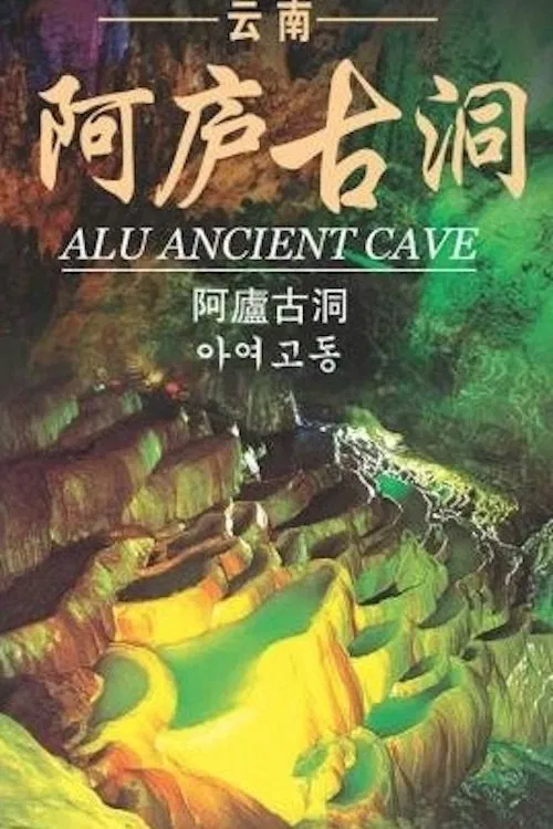 Faces of the Cave Wall movie poster