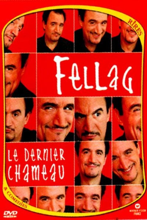 Poster do filme Le Dernier chameau
