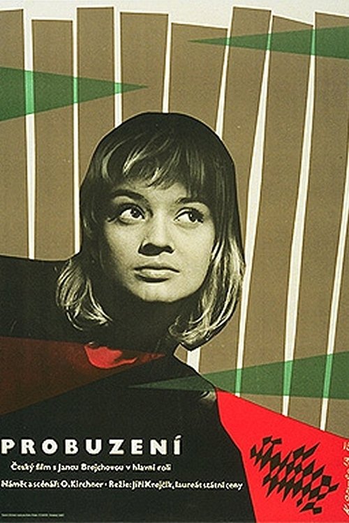 Probuzení movie poster