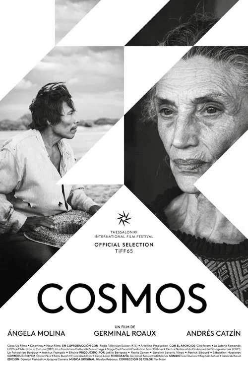 Cosmos movie poster
