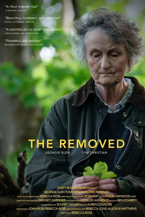The Removed movie poster