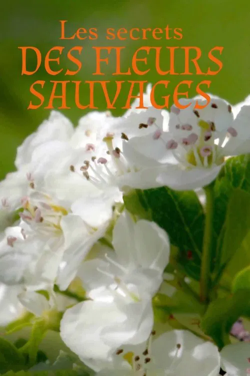 Les Secrets des fleurs sauvages tv show poster