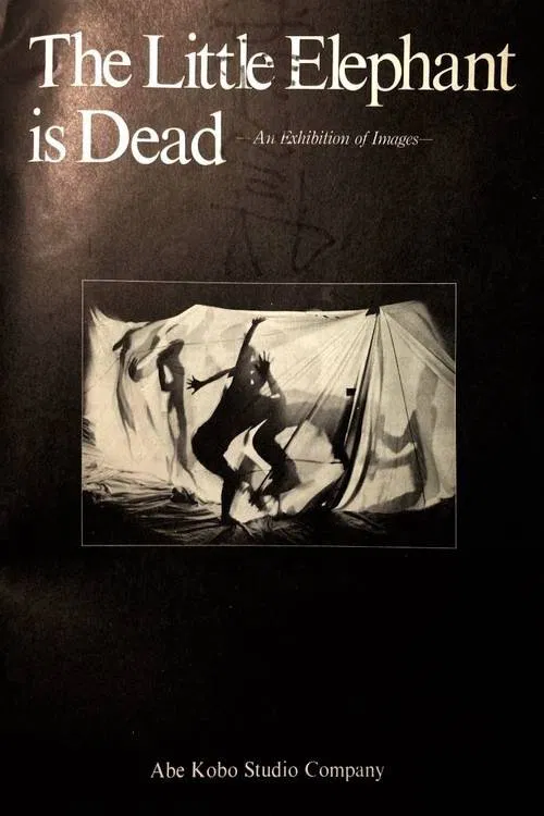 Poster do filme The Little Elephant is Dead / An Elephant Calf Is Dead