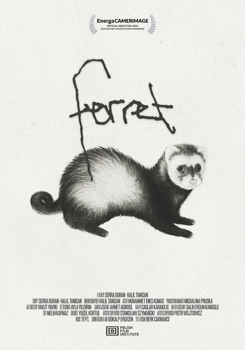 Ferret movie poster