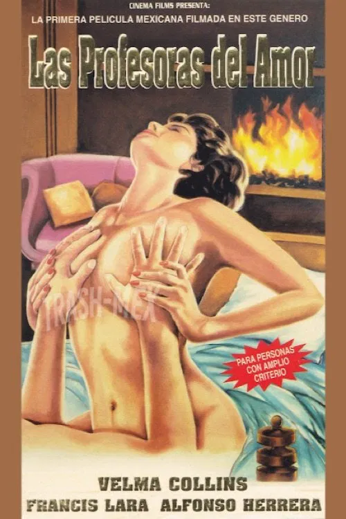 Las profesoras del amor movie poster