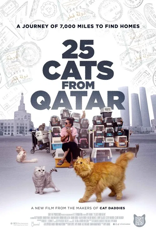 25 Cats from Qatar movie poster