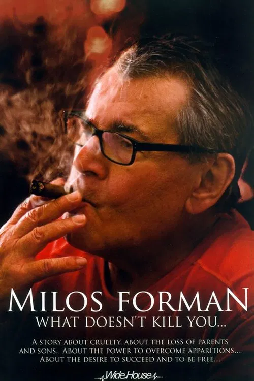 Miloš Forman: What Doesn't Kill You… movie poster