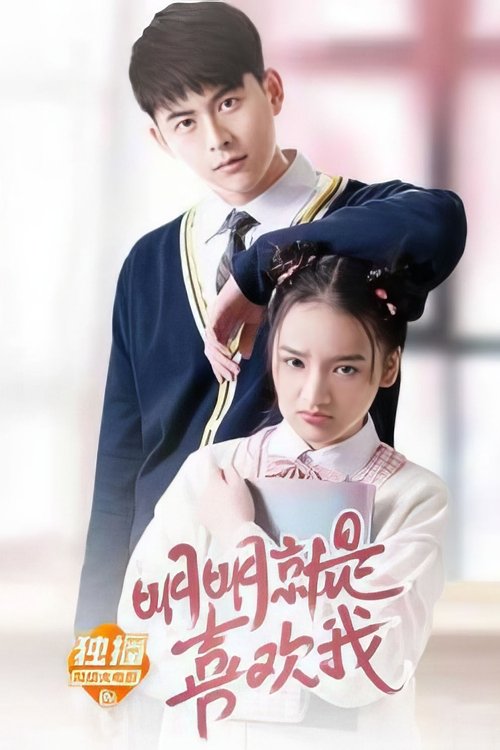 明明就是喜欢我 movie poster