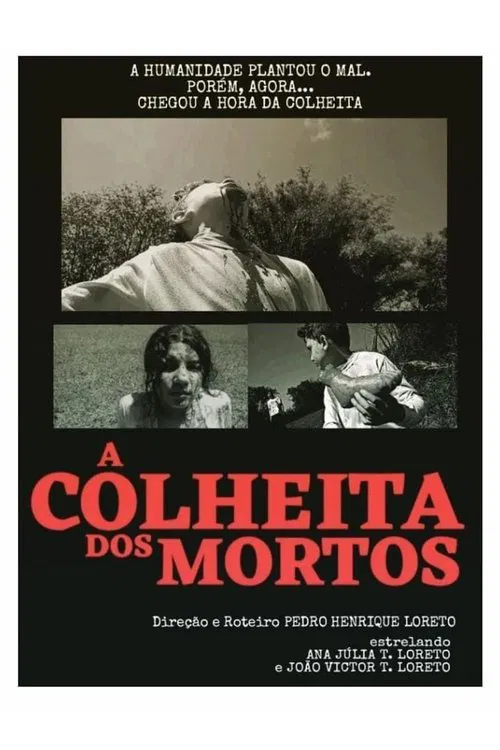 A Colheita dos Mortos movie poster