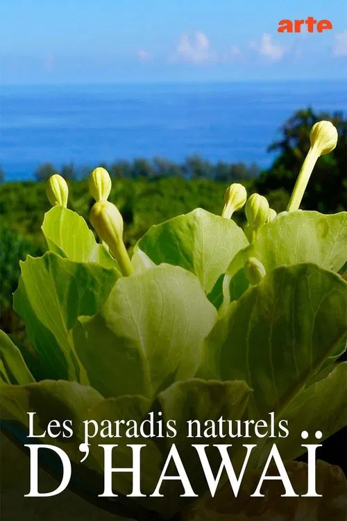 Hawaiis versteckte Paradiese movie poster