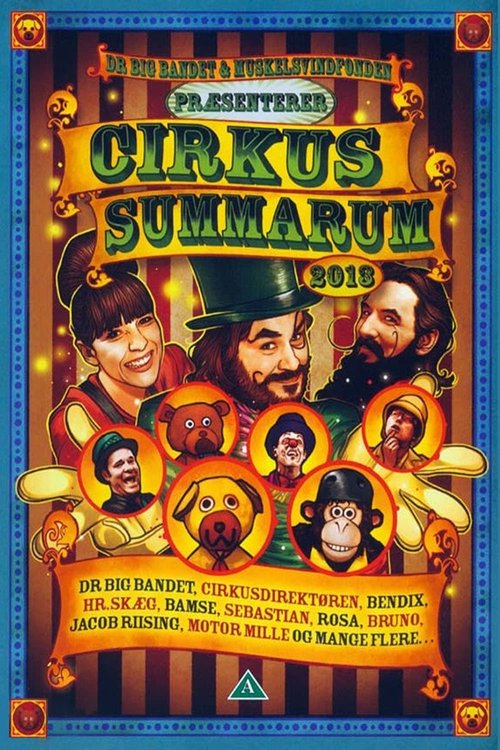 Cirkus Summarum 2013 movie poster