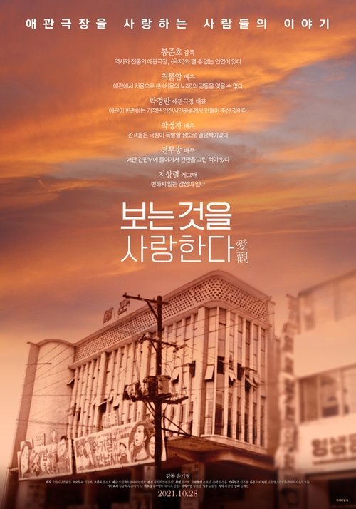 보는 것을 사랑한다 movie poster
