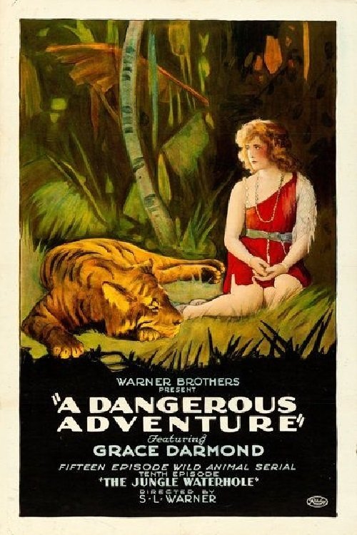 A Dangerous Adventure movie poster