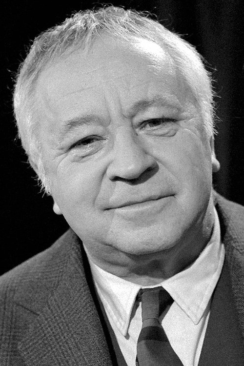 Miroslav Horníček profile picture