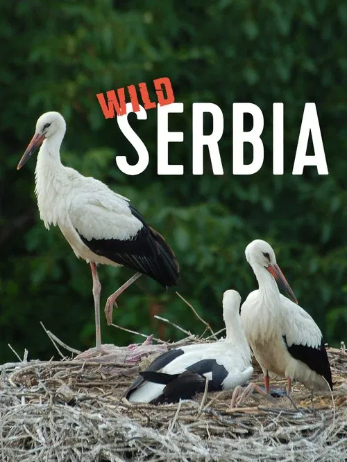 Wild Serbia movie poster