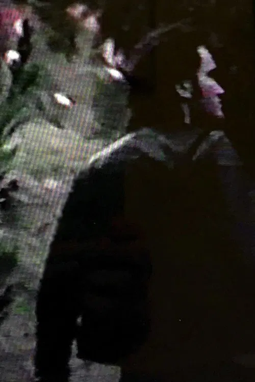 Vegetables movie poster