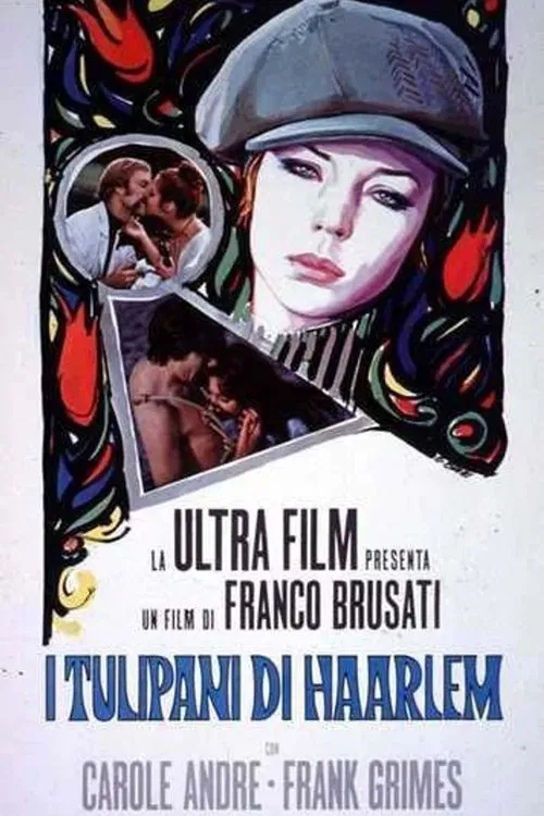 Poster do filme Tulips of Haarlem
