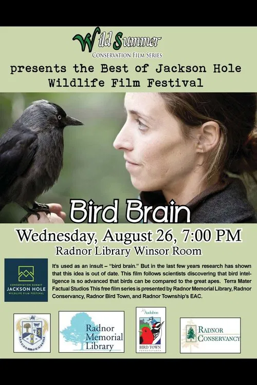 Bird Brain movie poster