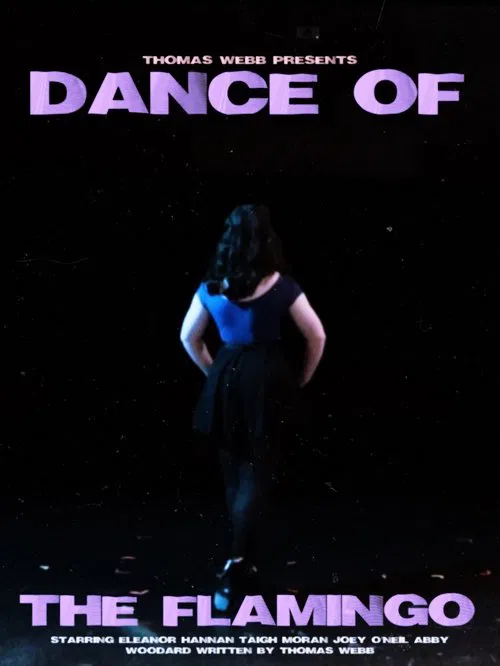Poster do filme Dance of the Flamingo