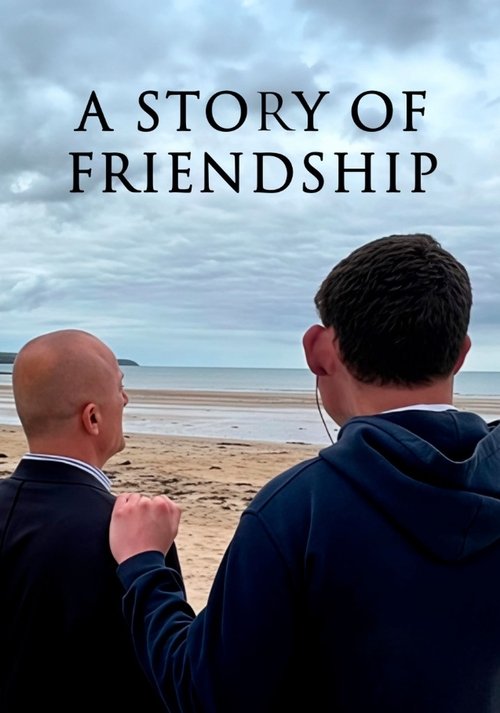 A Story of Friendship movie poster