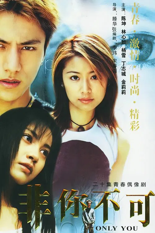 Only You tv show poster
