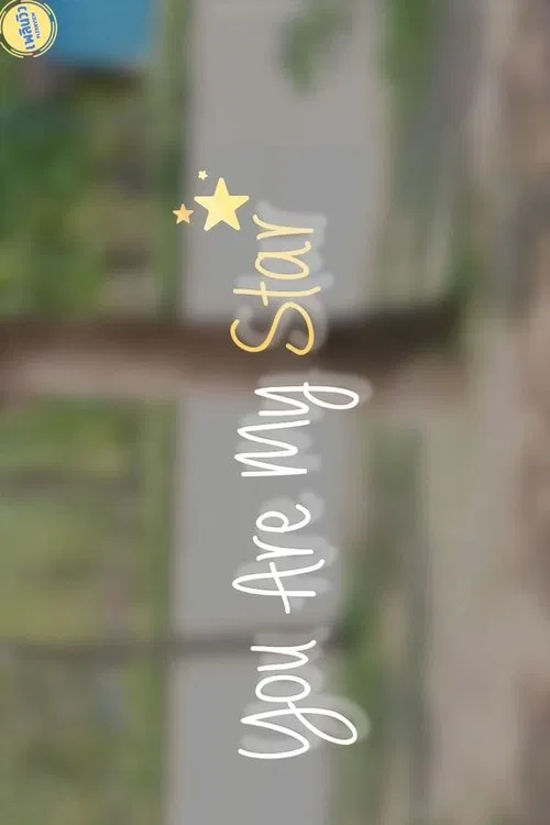 You are my star tv show poster