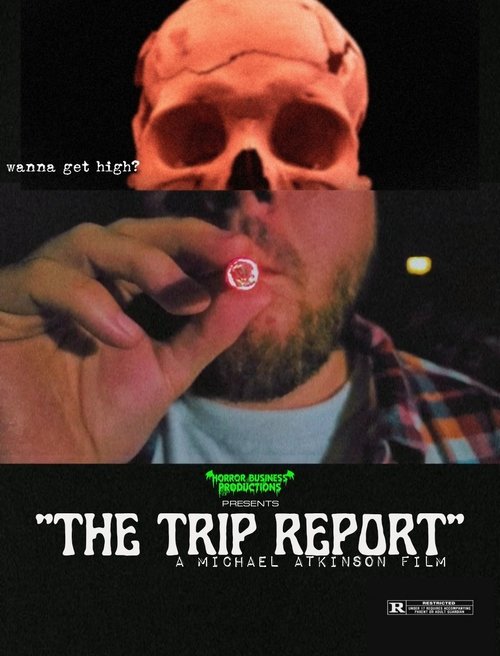 The Trip Report movie poster