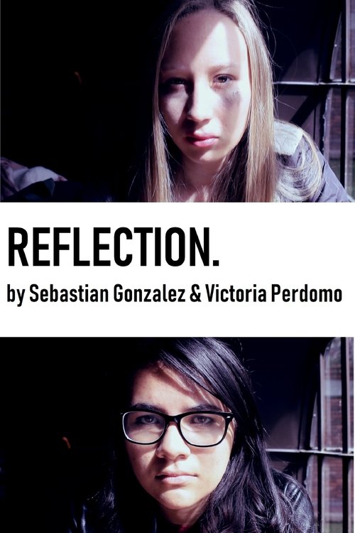 Poster do filme Reflection