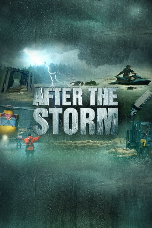 After the Storm tv show poster
