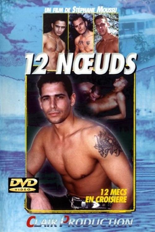 Poster do filme 12 Noeuds